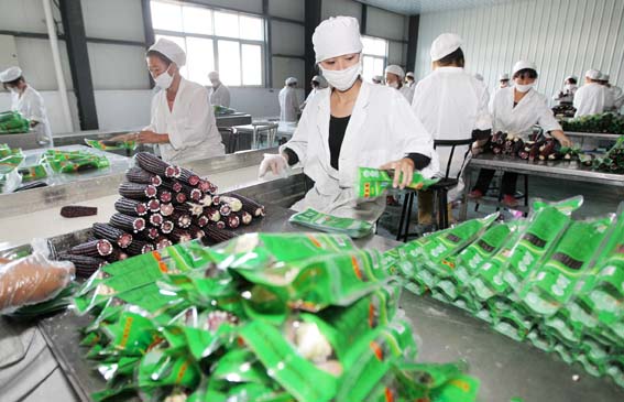 农产品扶持政策