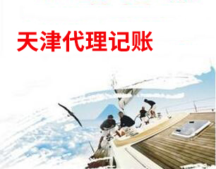 2.天津公司代理做账，这样的专业度包君满意